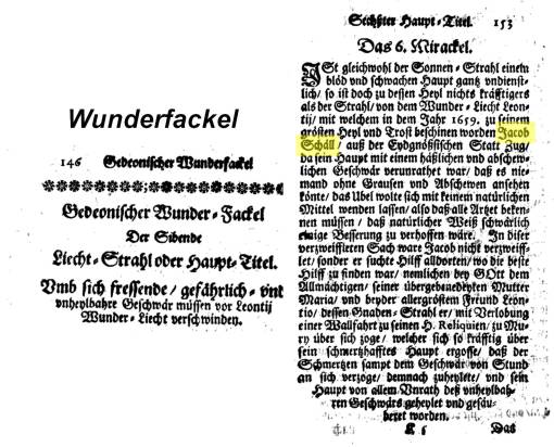 JakobSchallinWonderfackel