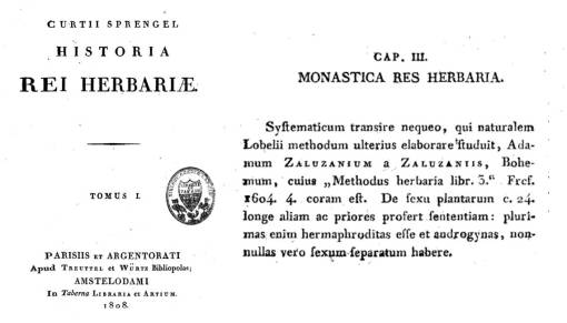 SprengelsHerbaria_Zaluzanium