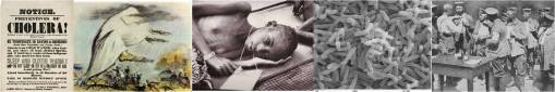 cholera
