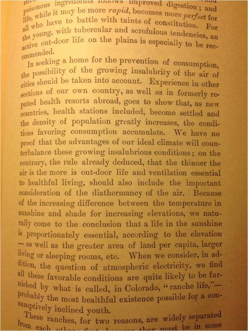 Denison_RMHR_text_philosophyforpreventionofConsumption