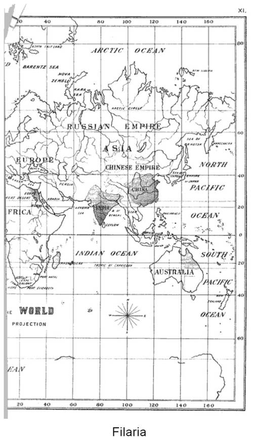 Felkin_1889_TropicalDiseases_45_Filaria_halfMAP
