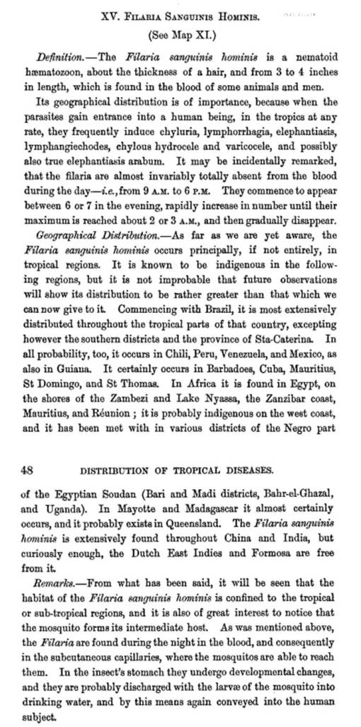 Felkin_1889_TropicalDiseases_47-48_Filaria