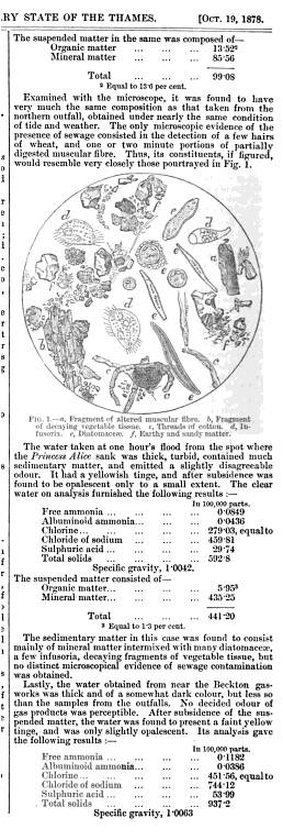Lancet_Oct19-1878_ReportontheThames_noII_p562b