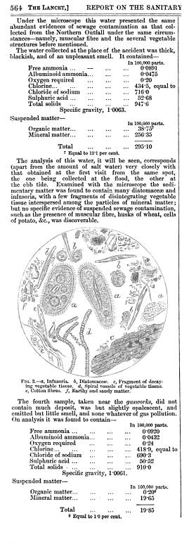 Lancet_Oct19-1878_ReportontheThames_noII_p564a