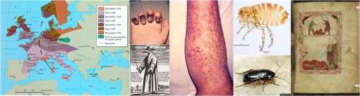plague