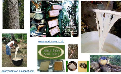 chicle-indigenous-cultures