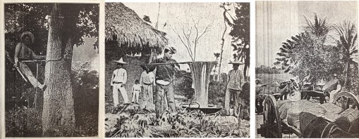 ChilclerosIndustry_OldGovtDocts