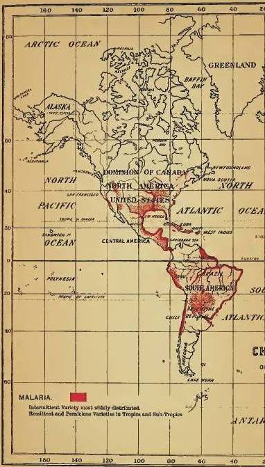 Felkin_01_Malaria_Americas