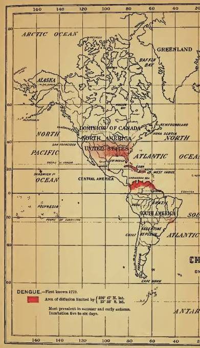 Felkin_02_Dengue_Americas