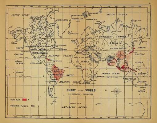 Felkin_05_BeriBeriOrientalPlague2