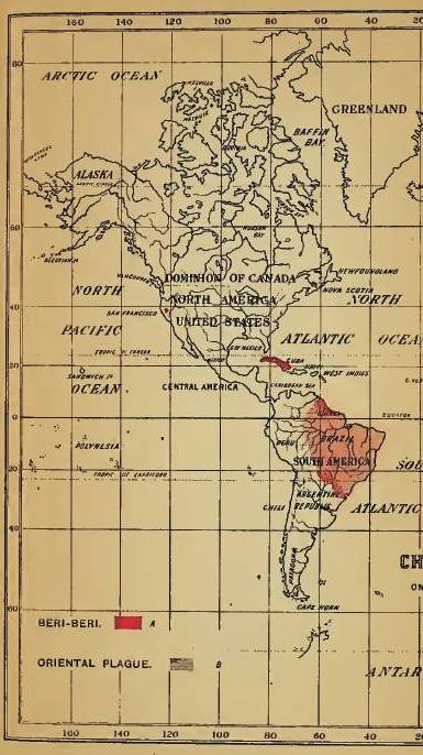 Felkin_05_BeriBeriOrientalPlague_Americas