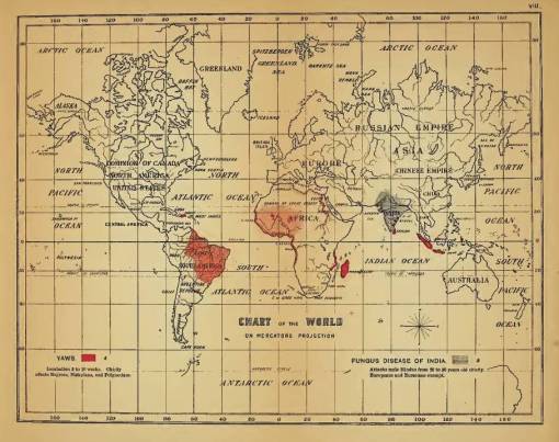 Felkin_08_YawsFungusDiseaseofIndia2