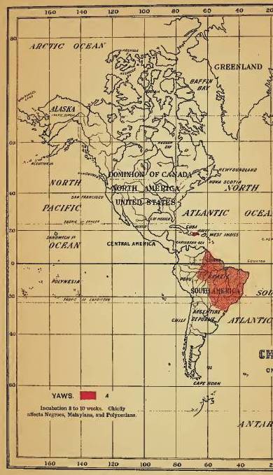 Felkin_08_YawsFungusDiseaseofIndia_Americas