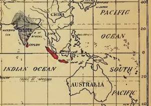 Felkin_08_YawsFungusDiseaseofIndia_FungusDiseaseIndiaAustralia