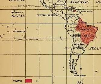 Felkin_08_YawsFungusDiseaseofIndia_SouthAmerica