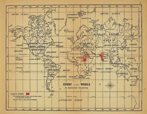 Felkin_10_GuineaWorm2