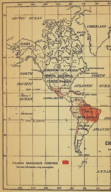 Felkin_11_Filaria_Americas