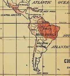 Felkin_11_Filaria_SouthAmerica