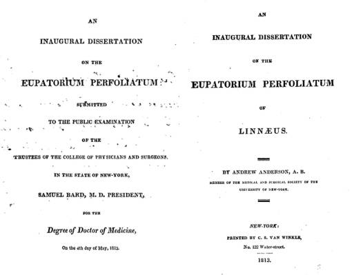 AndrewAnderson_InauguralDissertationEupatoriumPerf_May1813_tps