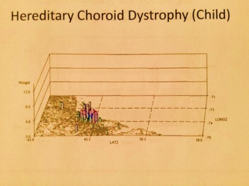 HereditaryChoroidDystrophy_salmon