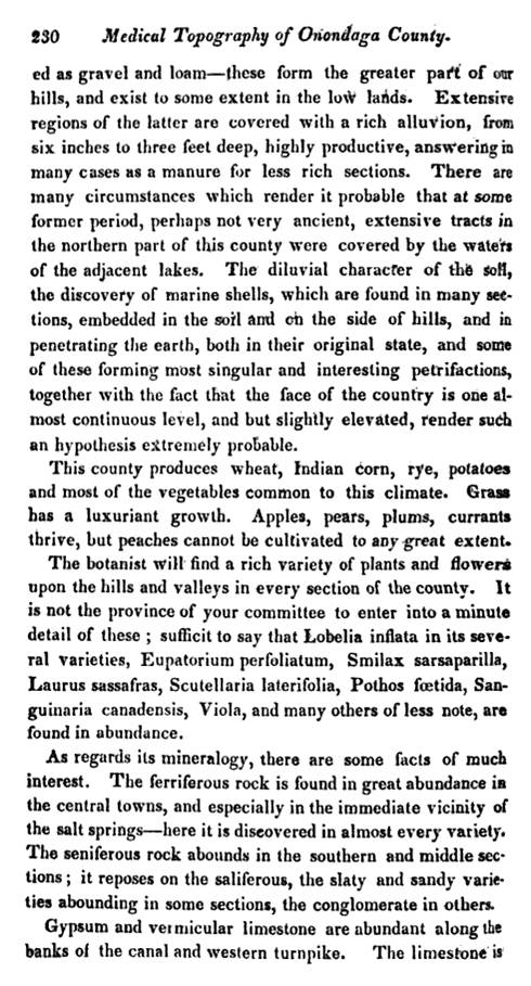 1834_OnondagaCountyMedTopog_230