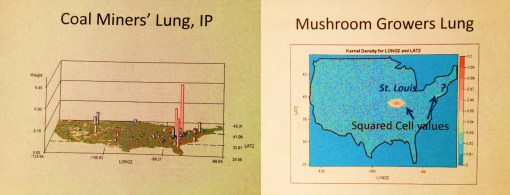 Geological-Ecological-Patterns