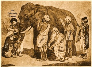 TheElephant_BeingCulturallyCorrect_Salmon