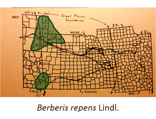 Berberis-repens-Lindl_Barberry-TrailingOregonGrape_v2