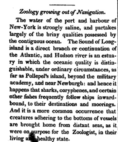 Polopel4_navigationgrowth