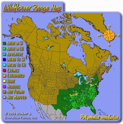 Polymniauvedaliamap_tn