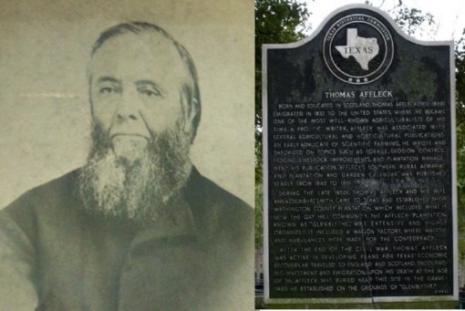 thomasaffleck_portrait