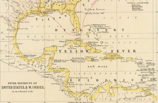 AlexanderKJohnston_JamaicaSetting