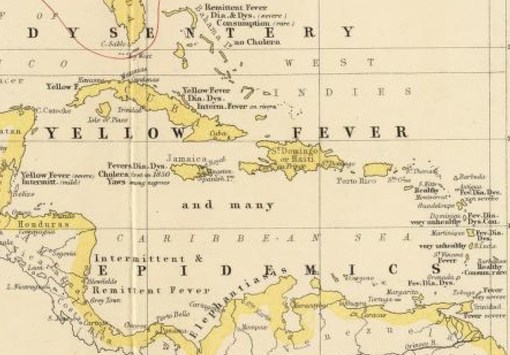 AlexanderKJohnston_JamaicaSetting_closer