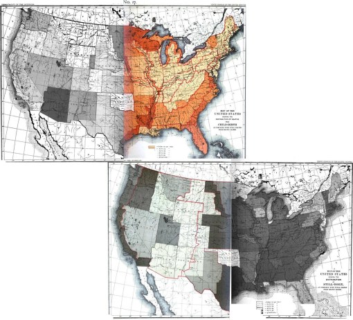 1890Census_collage2-childbirthstillbirth