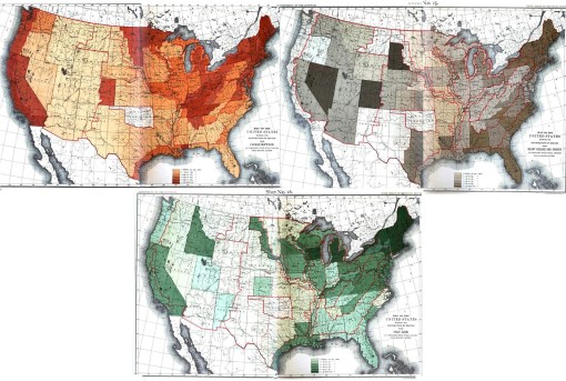 1890Census_collage3-consumptionheartoldage