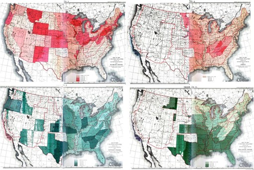 1890Census_collage4-diseases