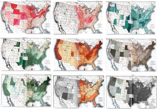 1890Census_collage9-diseases