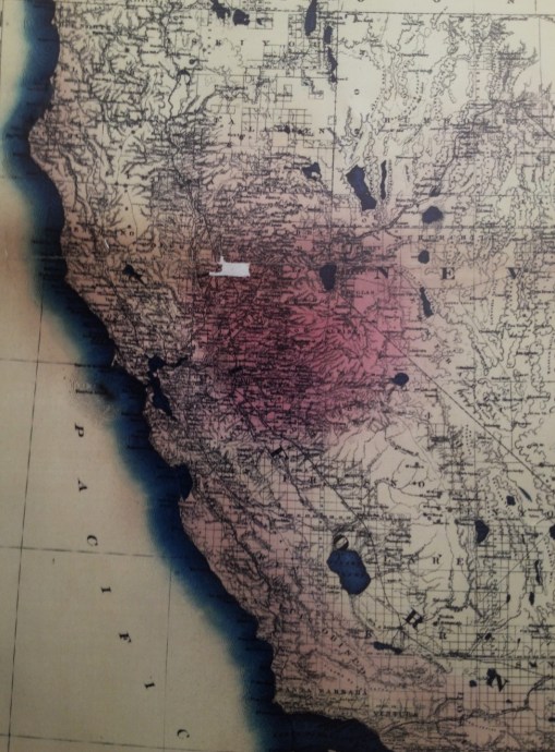 CarneysSeriesofMedicalCharts_1874_Phthisis_04_CalifNevada-Box-v2-CalifSxn