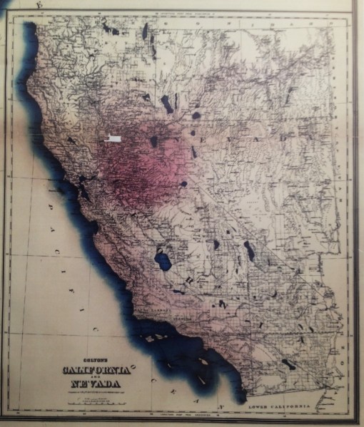 CarneysSeriesofMedicalCharts_1874_Phthisis_04_CalifNevada-Box-v2