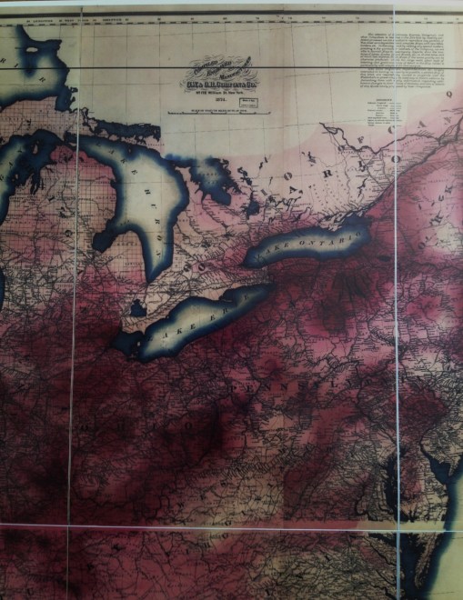 CarneysSeriesofMedicalCharts_1874_Phthisis_09_RightMiddleQuadrant-sm-contrasted2