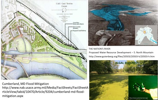 CumberlandAreaENVIRONMENTALISSUES