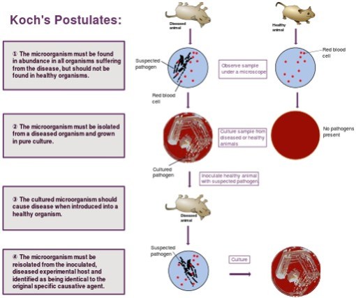KochsPostulates_Wikipedia