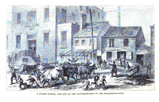 ReportCouncilHygienePublicHealth_07SanitationDistr_88_PNolan_slaughterhousenexttoschool