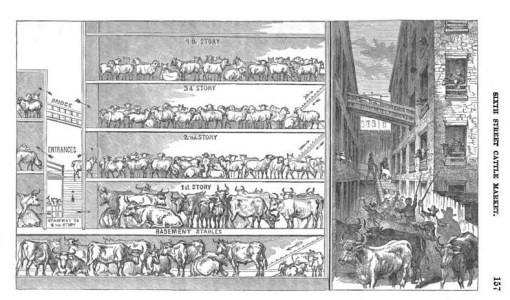 ReportCouncilHygienePublicHealth_13SanitationDistr_157_Slaughterhouse_fig1_multifloorplan