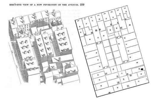 ReportCouncilHygienePublicHealth_20SanitationDistr_239_EHJane_map-avenues