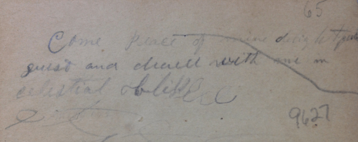 FowlerhouseLocation_MyHouse_detailed_CelestialBliss