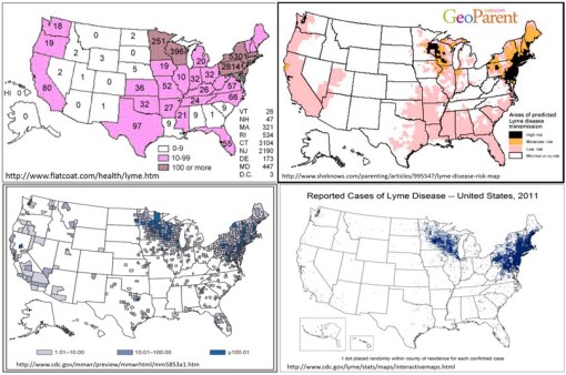LymeDisease_4differentways_2