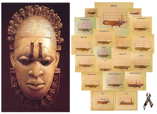 AfricanMedicineUS_4_JPG