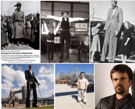 PopnHealth_TallShortPeople