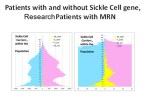 0_8_SickleCellGene2
